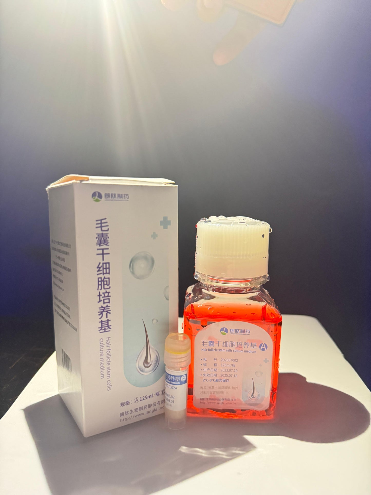 HAIR FOLLICAL STEMS CELL CULTURE