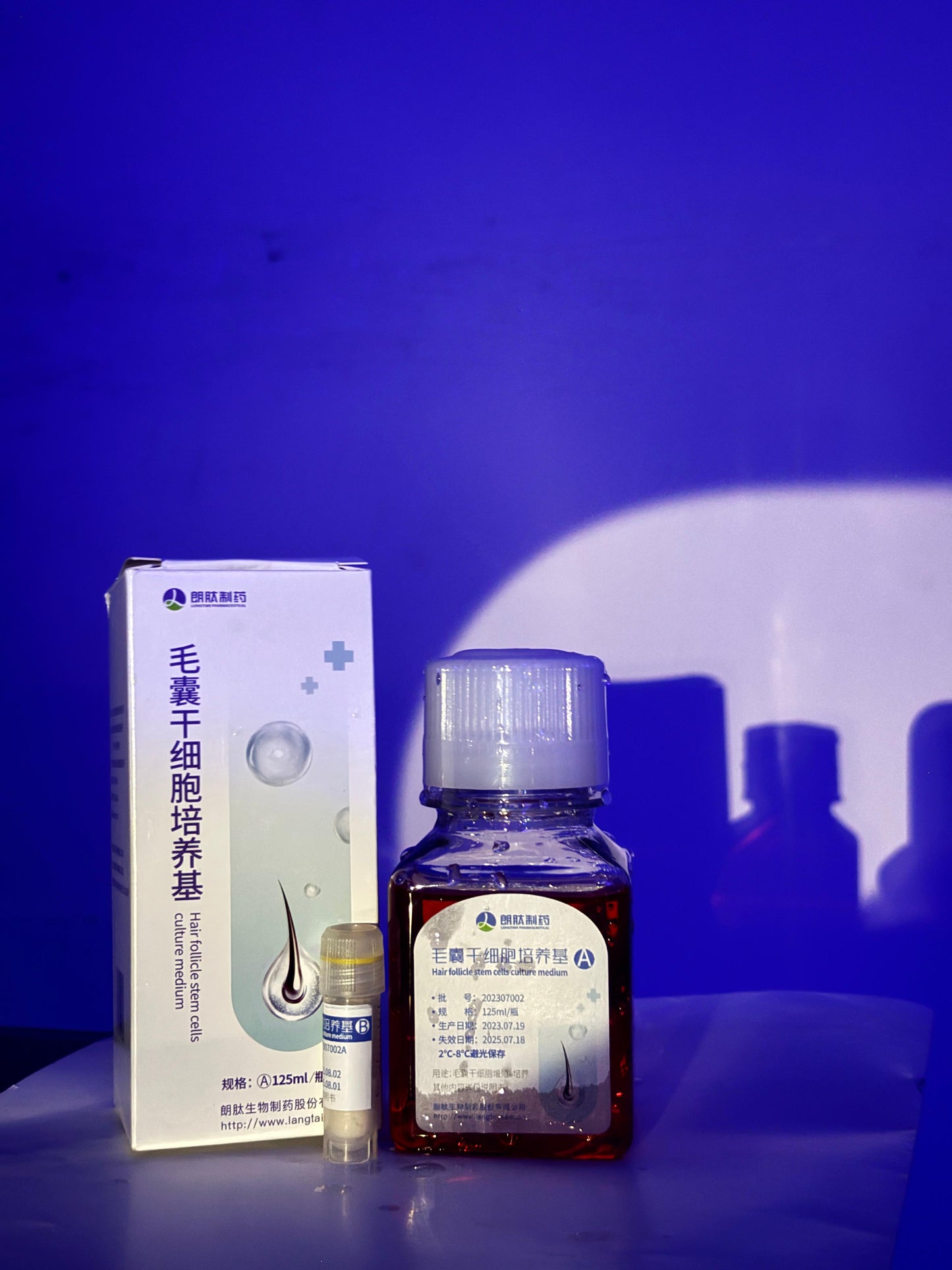 HAIR FOLLICAL STEMS CELL CULTURE